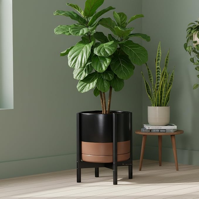 D'vine Dev Ceramic Pot with Ebony Wood Stand, 12 in, 55-B-H-7 | Mid-Century - Image 2