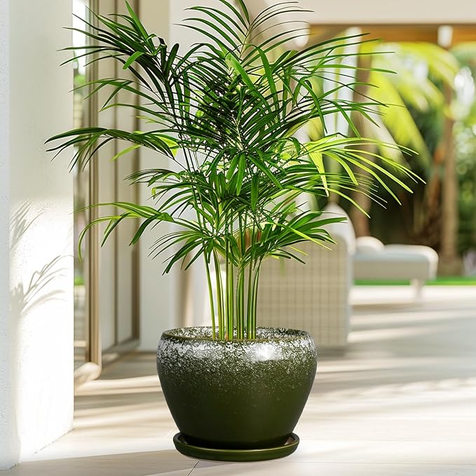 Ceramicfor 8 Inch Plant Pot - Image 4