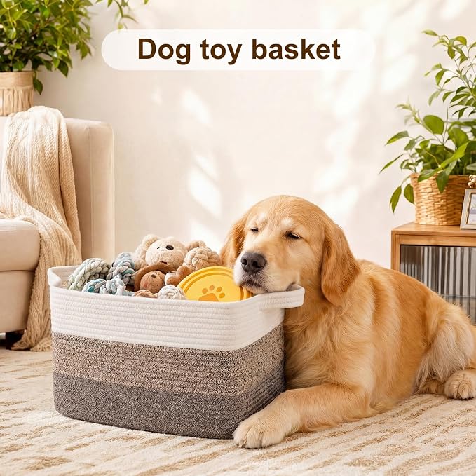 OIAHOMY Storage Basket, Woven Baskets - Image 4