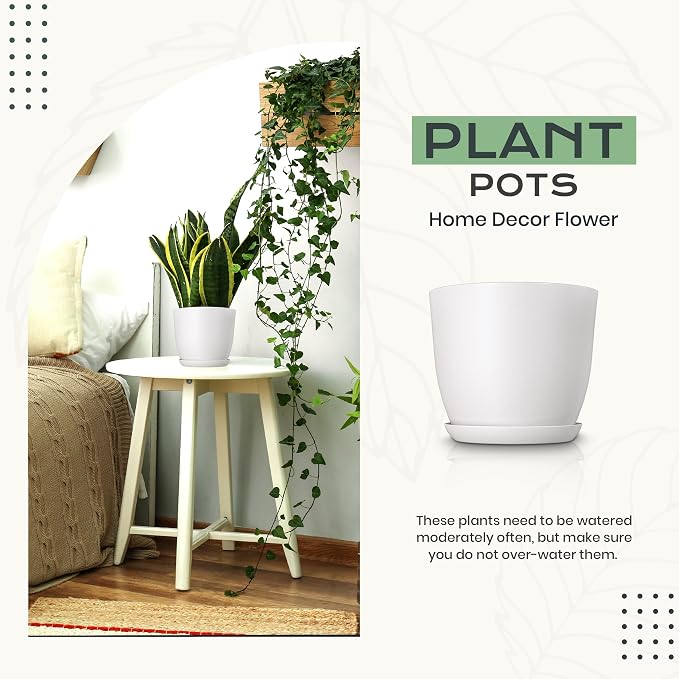 Plant Pots Indoor with Drainage, 10 Pack Multi-Size Planters Set - Image 5