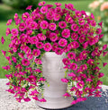 Artificial Faux Hanging Flowers Plant by HyeFloraartificialflowers