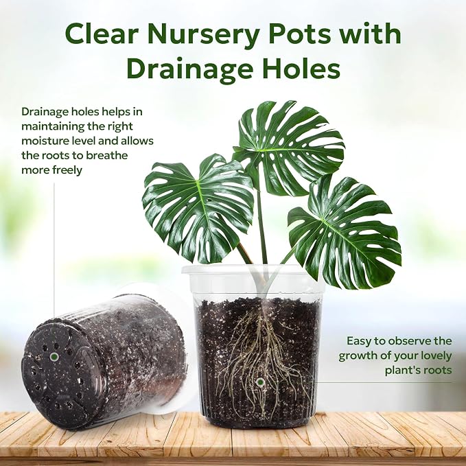 Bluepro Clear Nursery Pots - Image 3