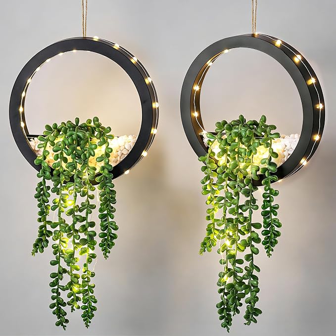 Der Rose 2 Pack Fake Lighted Hanging Succulent Plants by DerRose