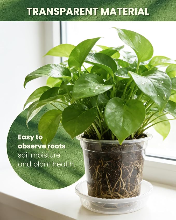 24 Pcs 7/6/5/4 In Clear Nursery Pots - Image 4