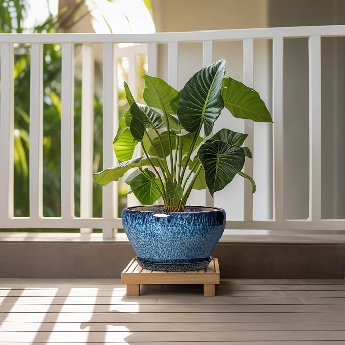 Ceramicfor Ceramic Planter 11 Inch - Image 7