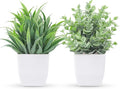 Der Rose 2 Pack Fake Plants Small Plants by DerRose