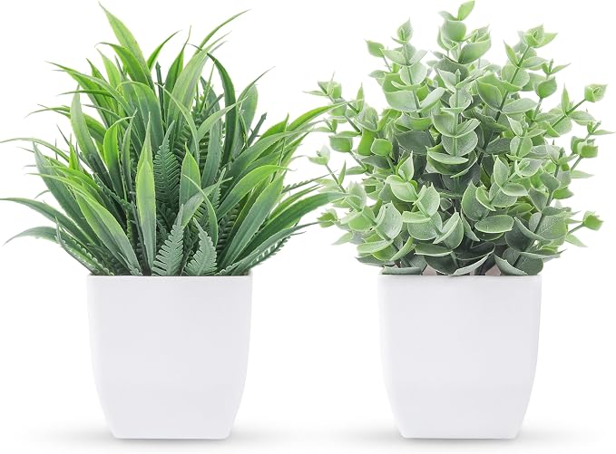 Der Rose 2 Pack Fake Plants Small Plants by DerRose