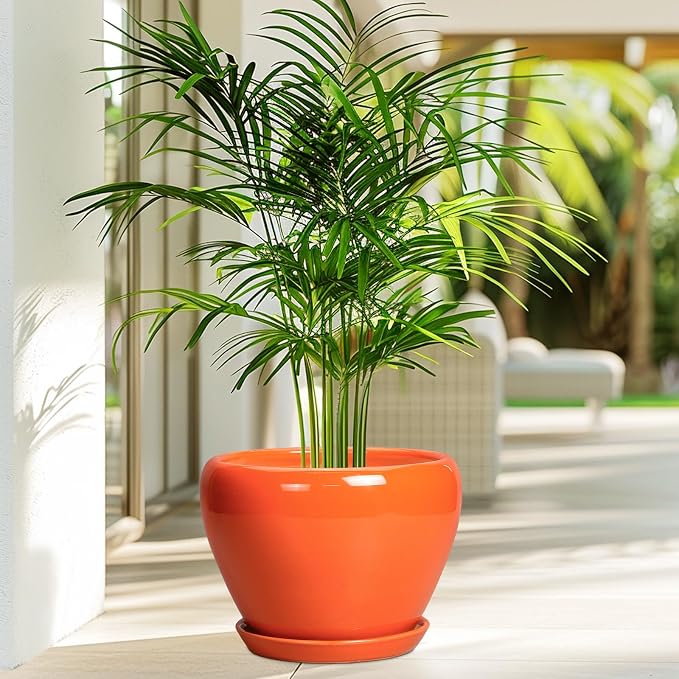 Ceramicfor Indoor Plant Pot 8 Inch - Image 4