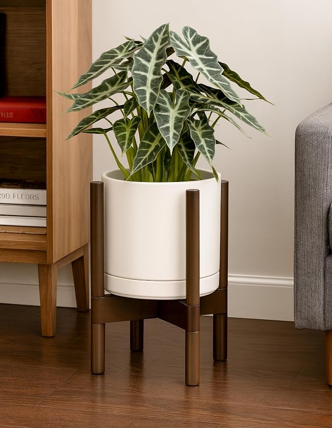 D'vine Dev Ceramic Pot with Walnut Wood Stand, 8 in, 55-B-Y-8 | Mid-Century - Image 7