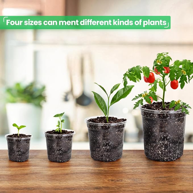 Bluepro Clear Nursery Pots - Image 6