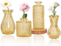 Set of 4 Glass Bud Vase Set, Small Vintage Clear Flower Vase Centerpieces by HAISIWLKJ