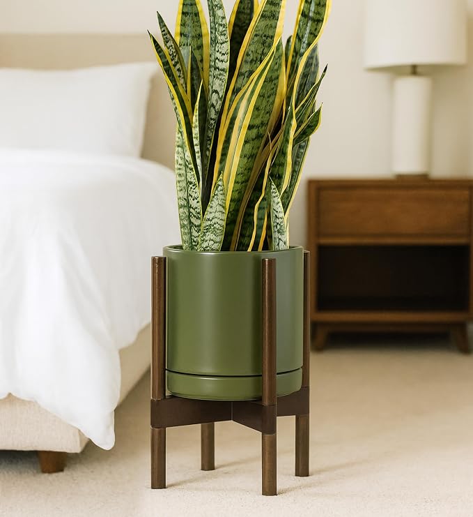 D'vine Dev Ceramic Pot with Walnut Wood Stand, 10 in, 55-B-X-J | Mid-Century - Image 2