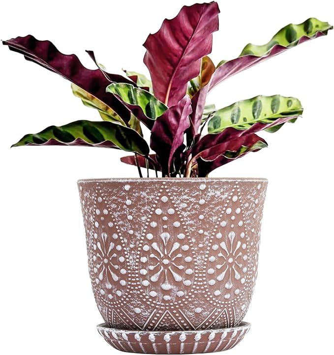 Gepege 8 Inch Ceramic Plant Pot by Gepege