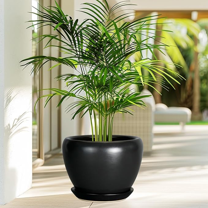 Ceramicfor Ceramic Pot for Plants - Image 4