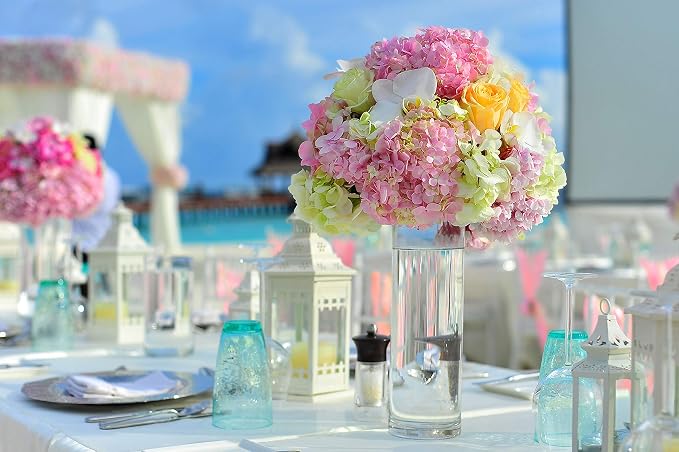 WGVI Quality Thick Weighted Tall Clear Cylinder Glass Vases, Flower Arrangement - Image 5
