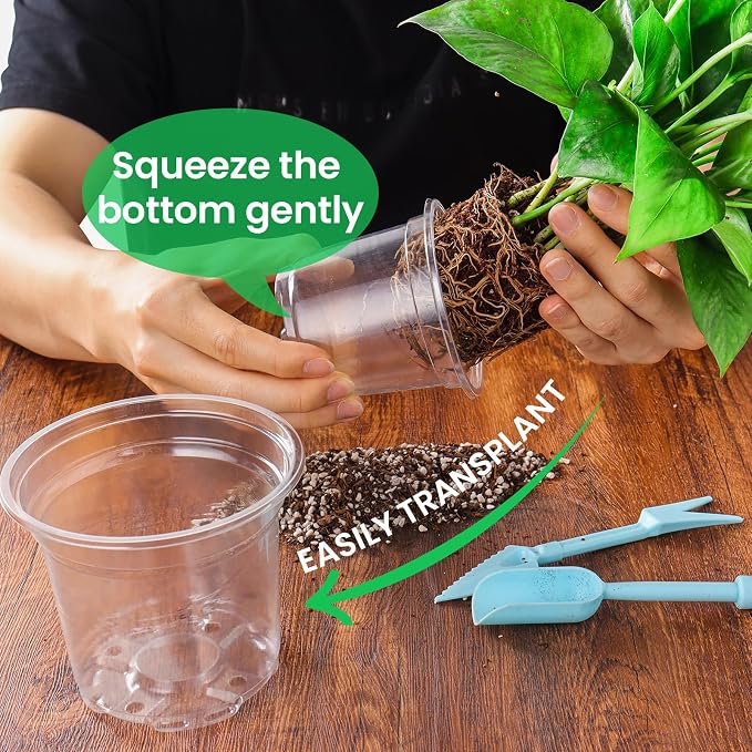 Bluepro Clear Nursery Pots - Image 5