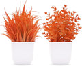 Der Rose 2 Pack Fake Plants Maple Red Artificial Plants by DerRose