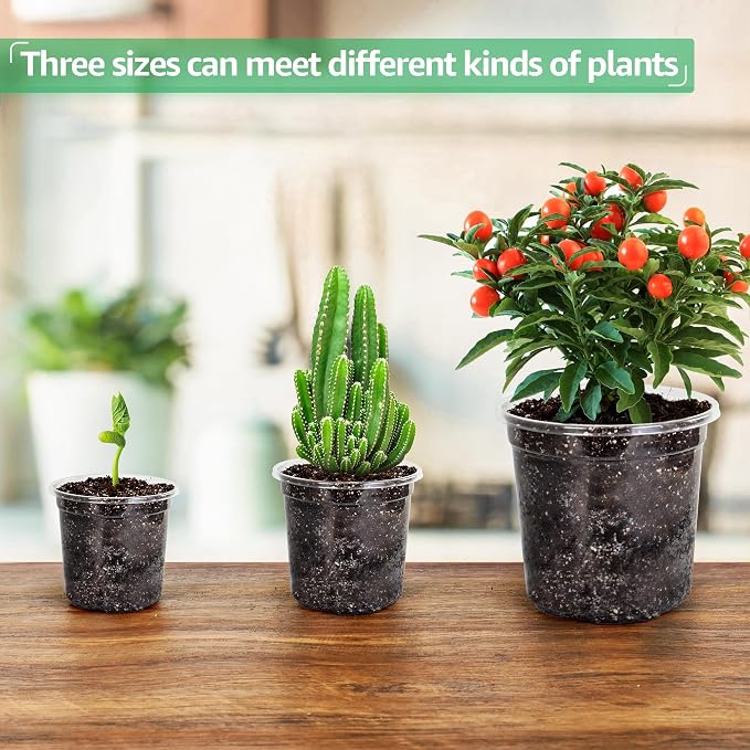 Bluepro Clear Nursery Pots - Image 6