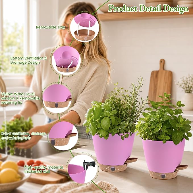 6 Inch Small Self Watering Pots - Image 6