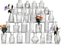 Glass Bud Vase Set of 30 by Ulodimi