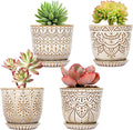 Gepege Ceramic Succulent Pots, 4 Inch Small Plant Pots by Gepege