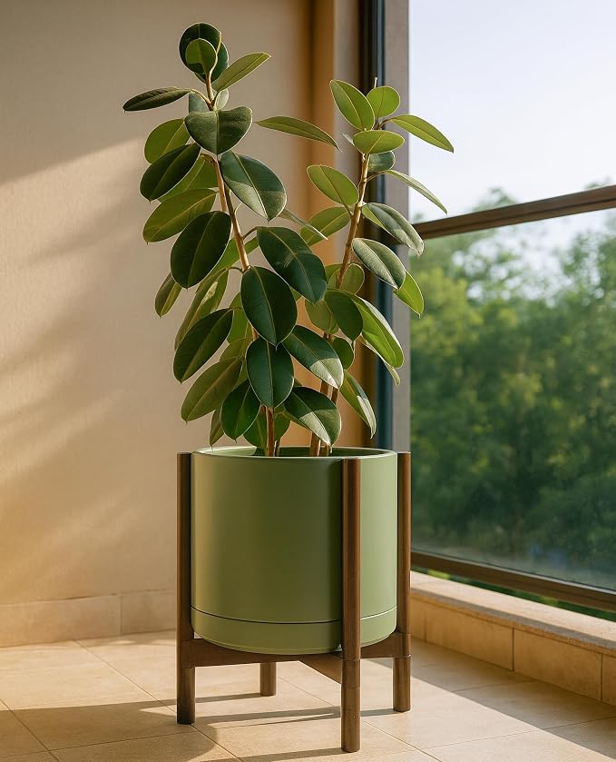 D'vine Dev Ceramic Pot with Walnut Wood Stand, 14 in, 55-B-T-J | Mid-Century - Image 4