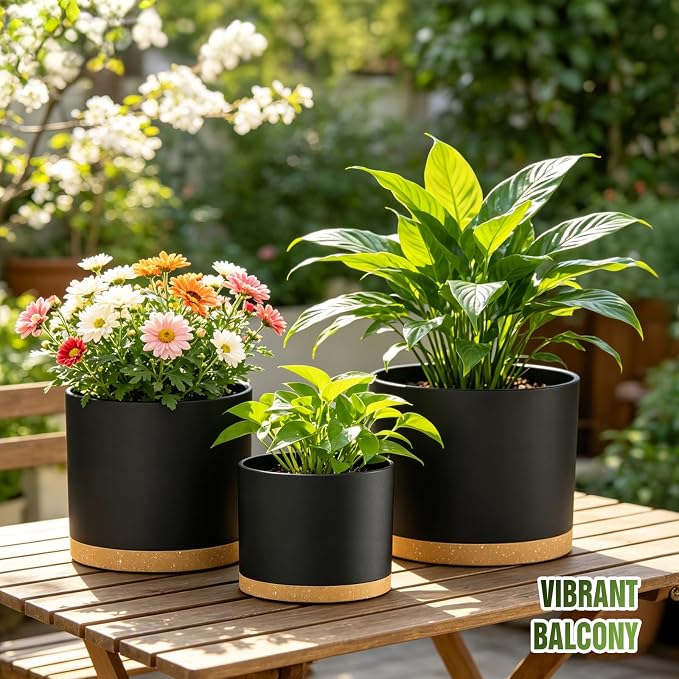 10/9/8 Inch Plant Pots 3 Pack, - Image 7