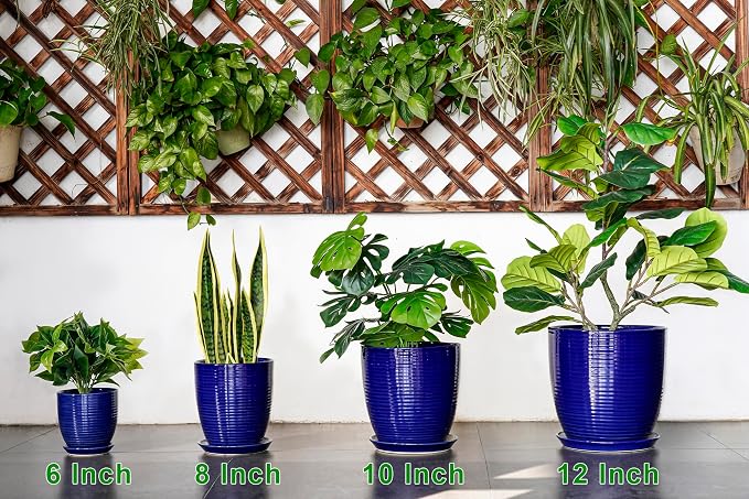 Ceramic Plant Pot - Image 9