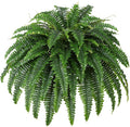 Dkaltm 43" Artificial Boston Fern, Outdoor Faux Plant | UV-Resistant, 69 by Unknown