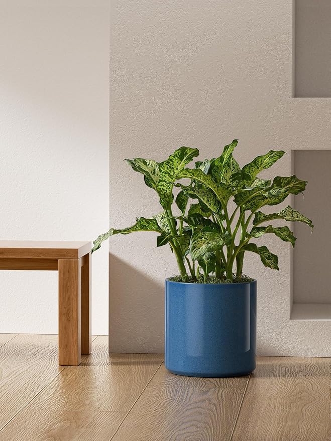 LE TAUCI 12 Inch Pot for Plants, Ceramic Planters for Indoor Plants, - Image 6