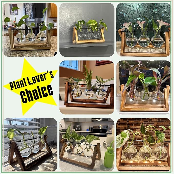 XXXFLOWER Plant Terrarium with Wooden Stand, Air Planter Bulb Glass Vase Metal - Image 7