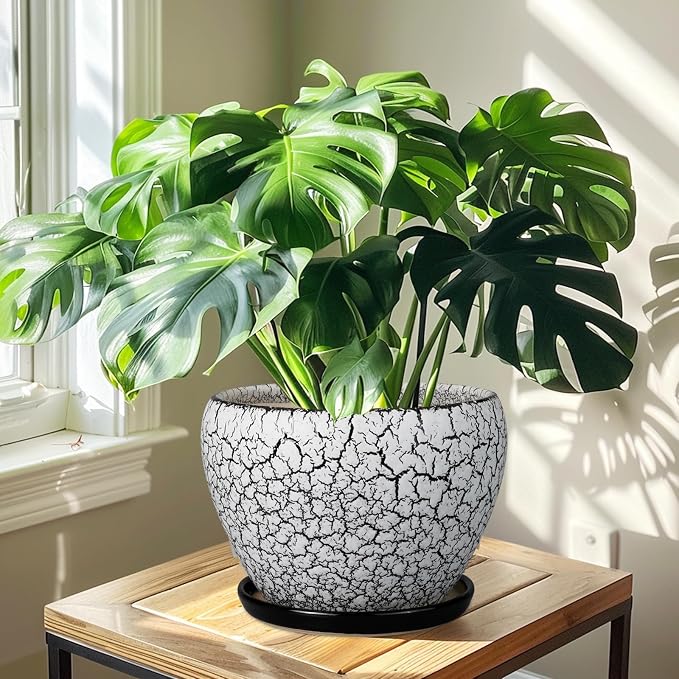 Ceramicfor Ceramic Planters for Indoor Plants - Image 7