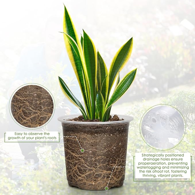 FUIJOL 5 Inch Clear Nursery Pots - Image 3