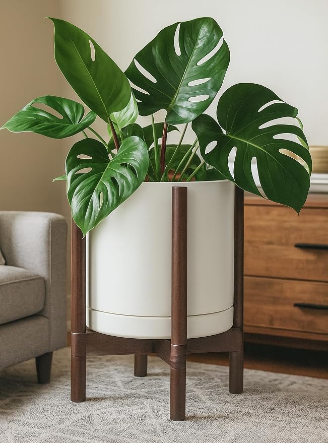 D'vine Dev Ceramic Pot with Walnut Wood Stand, 12 in, 55-B-W-8 | Mid-Century - Image 6