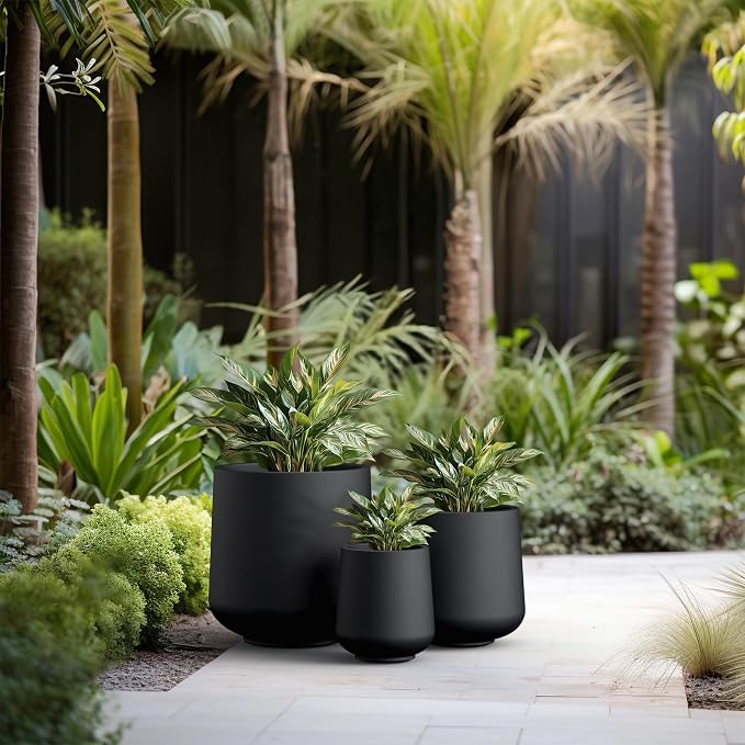Kante Set of 3 Black Concrete Curved Round Planters - Image 4