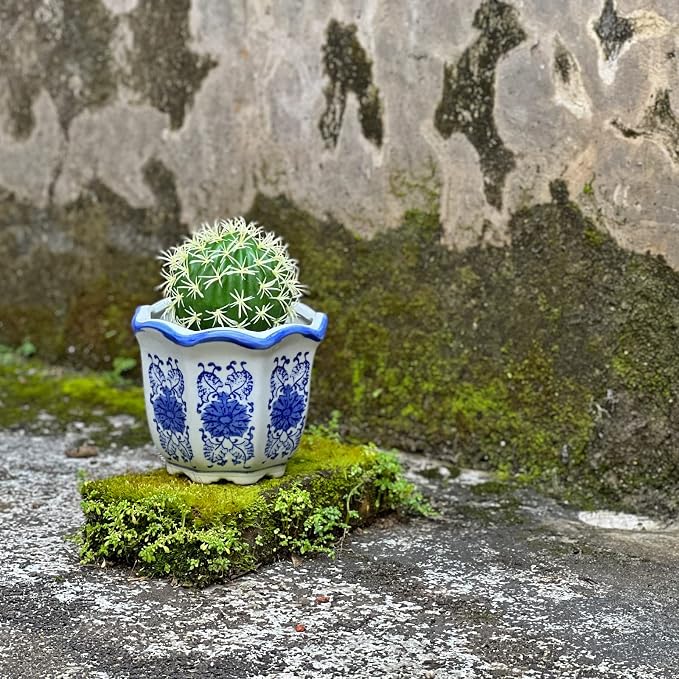 HakkaGirl Ceramic Pots for Plants, Chinoiserie Décor Ceramic Flower Pots - Image 7