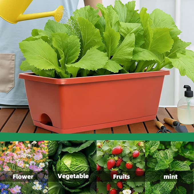 LOCONHA 12 Pack Window Box Planter, Plastic Vegetable Flower Planters Boxes | - Image 2