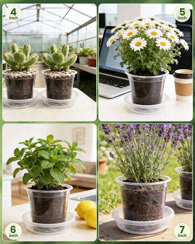 24 Pcs 7/6/5/4 In Clear Nursery Pots - Image 7