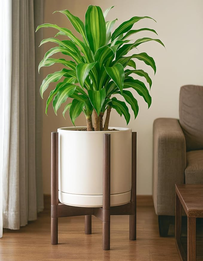 D'vine Dev Ceramic Pot with Walnut Wood Stand, 12 in, 55-B-W-8 | Mid-Century - Image 4
