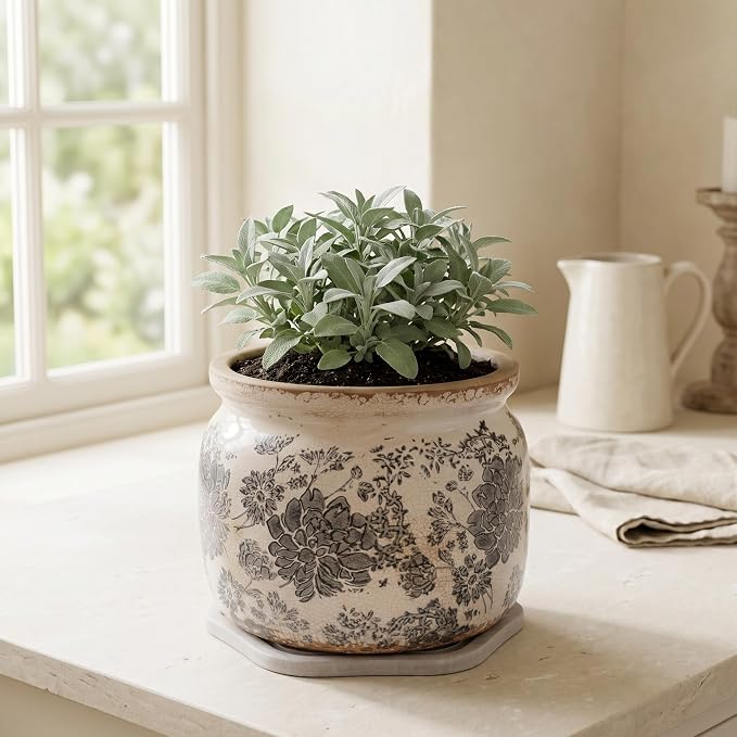 Rustic Ceramic Plant Pot with Decorative Saucer, Gifts - Image 6