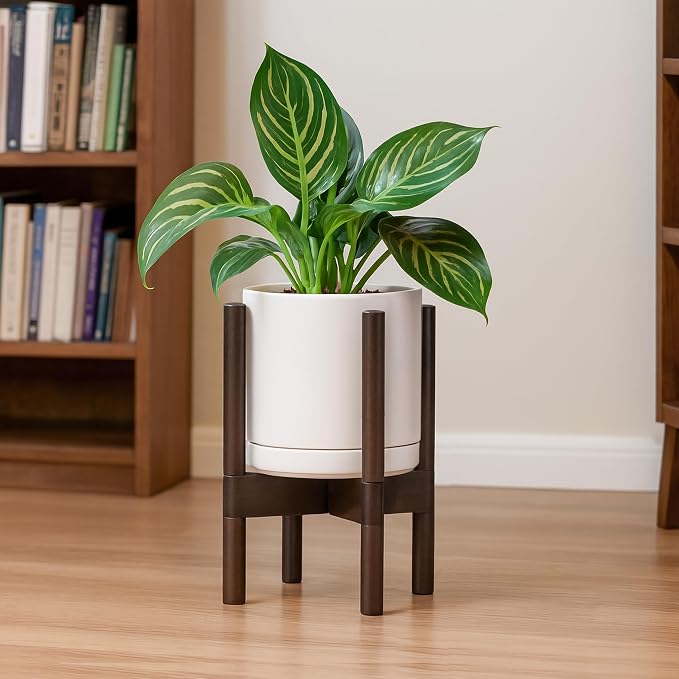 D'vine Dev Ceramic Pot with Walnut Wood Stand, 8 in, 55-B-Y-8 | Mid-Century - Image 2