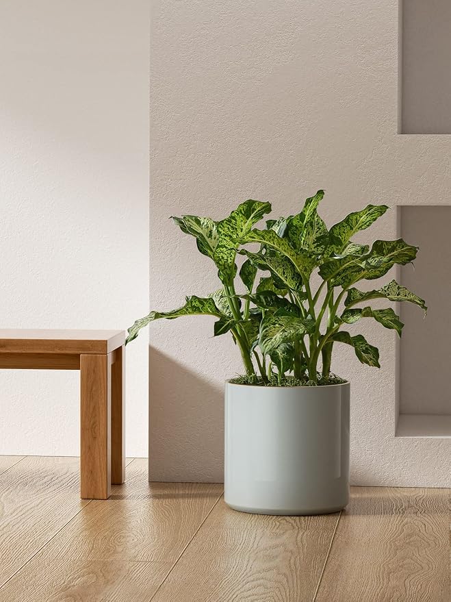 LE TAUCI 12 Inch Pot for Plants, Ceramic Planters for Indoor Plants, - Image 6