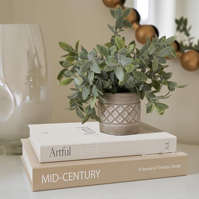Aesthetic Decorative Books Set of 2 - Image 4