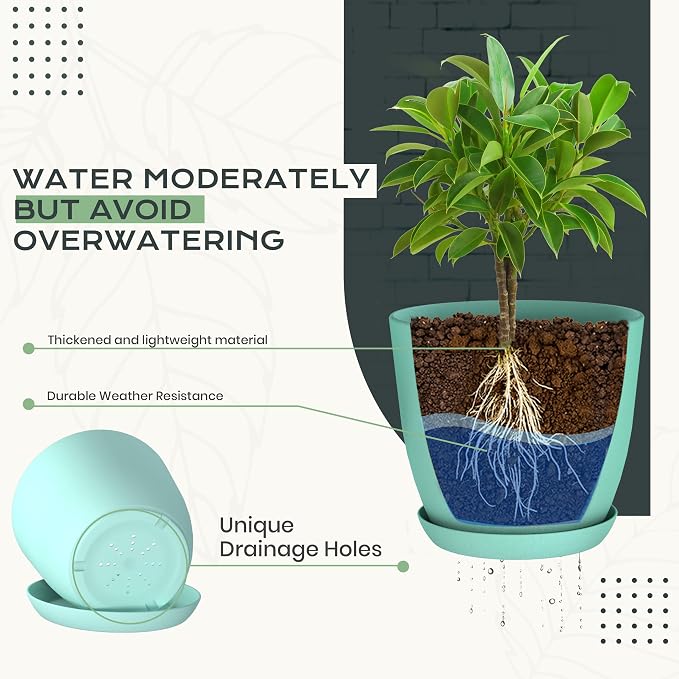 Plant Pots Indoor with Drainage, 10 Pack Multi-Size Planters Set, Aqua | - Image 3