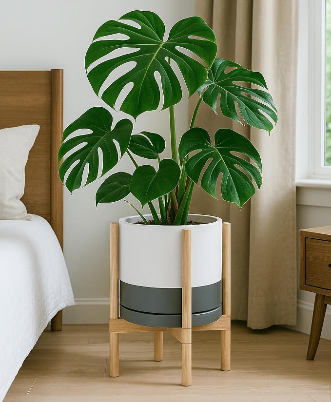 D'vine Dev Ceramic Pot with Natural Wood Stand, 12 in, 55-B-J-6 | Mid-Century - Image 6