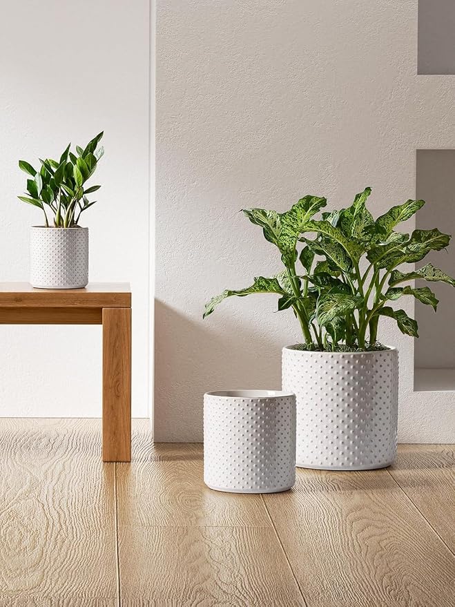 LE TAUCI 10+8+6 Inch Ceramic Pots - Image 3