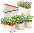 OurWarm Self Watering Pots for Indoor Plants, 6 Pack 10.5 Inch Plastic Window by OurWarm