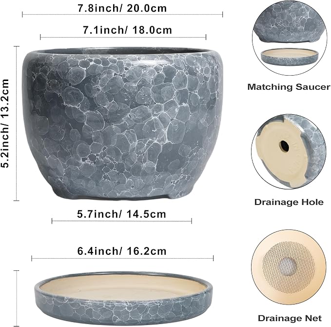 SQOWL 8 inch Plant pots Indoor - Image 3