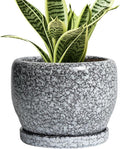 SQOWL Ceramic Pot for Plants by SQOWL