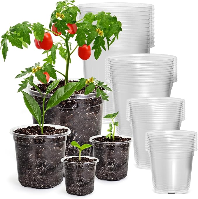 Bluepro Clear Nursery Pots by Bluepro